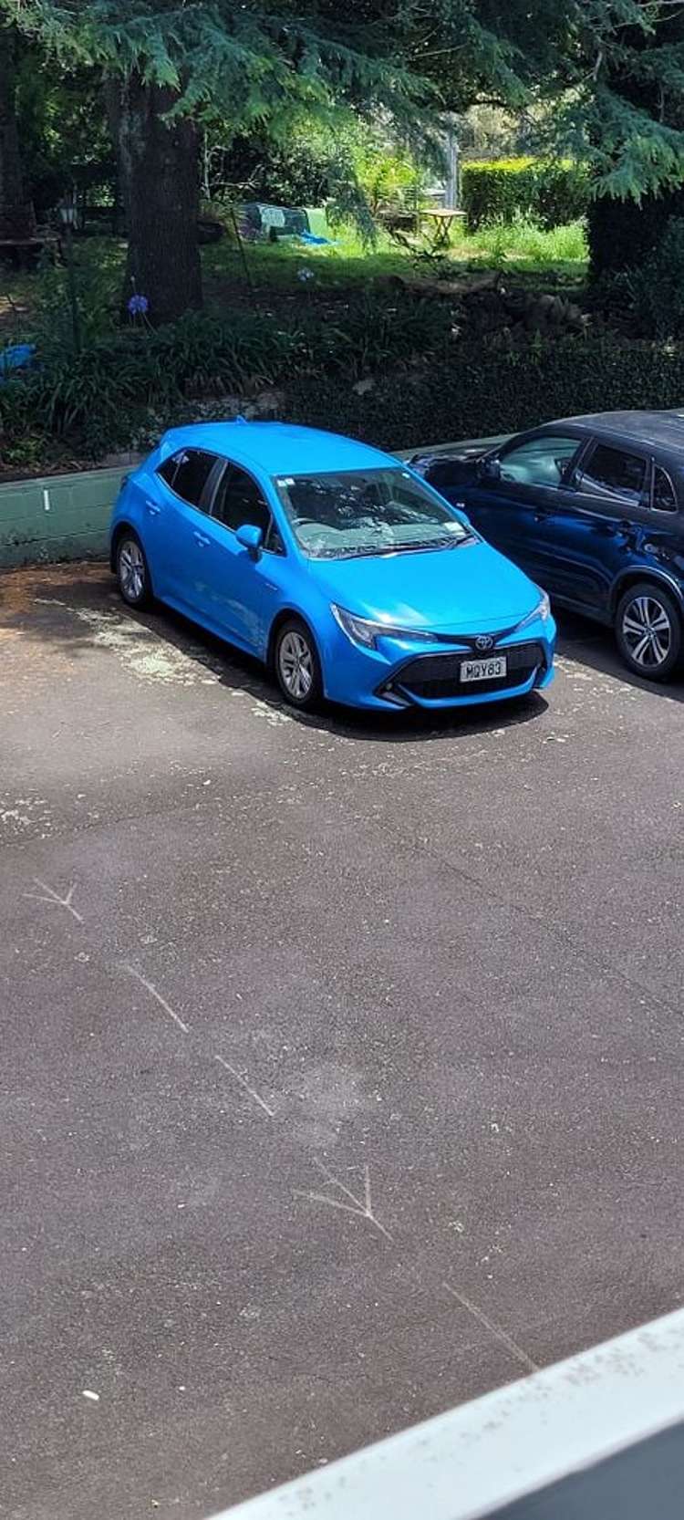 8/14 Lovelock Avenue Mount Eden_10