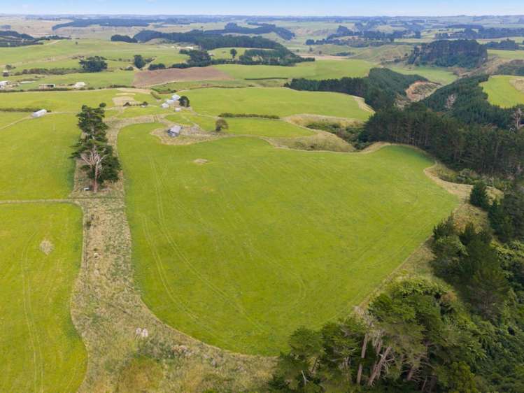 116 Karahaki Road Waverley_18