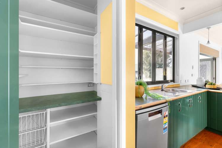 49 Haydon Street Roslyn_15