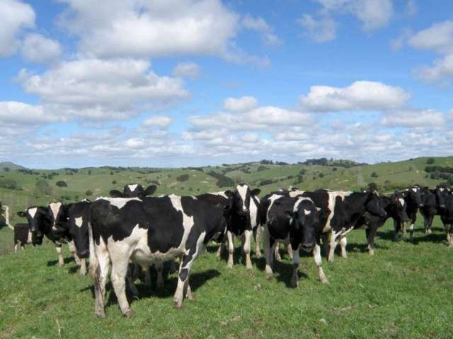 171 Girls High School Road Tangiteroria_2