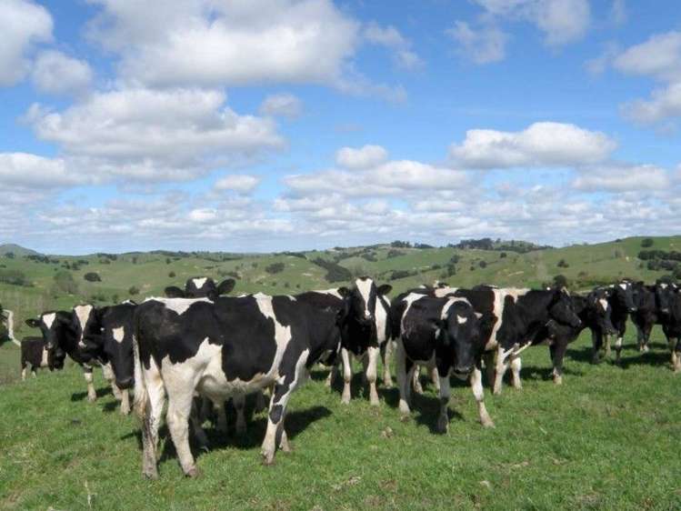 171 Girls High School Road Tangiteroria_2