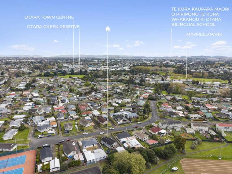 16 Dairy Road Otara_18