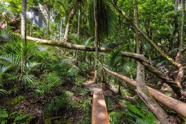 33 Beatty Parade Surfdale_27