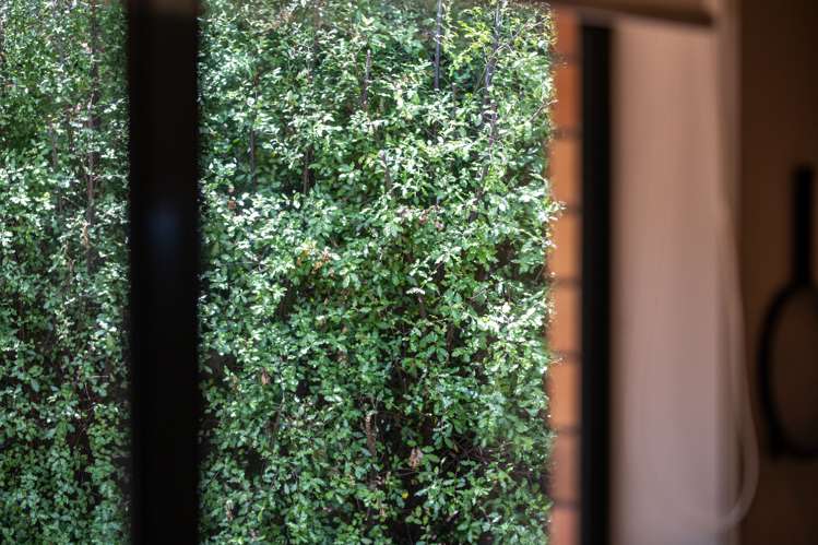 42 Woodburn Avenue Flagstaff_18