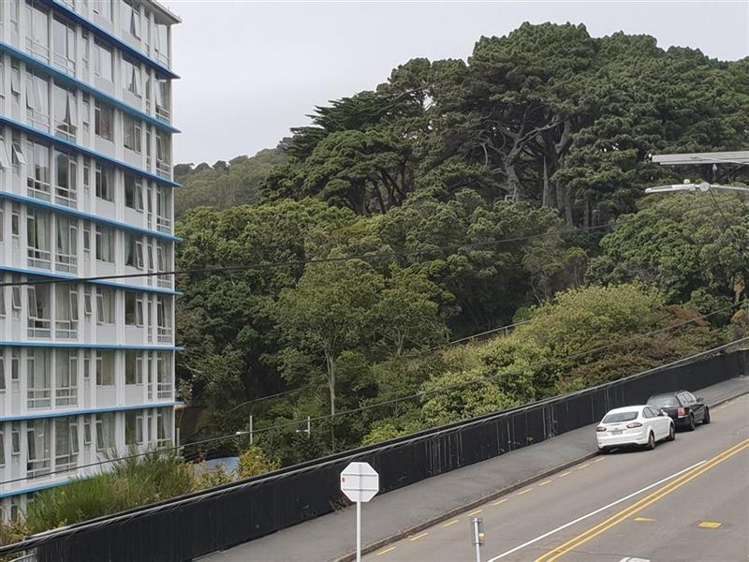 6/52 Russell Terrace Berhampore_5