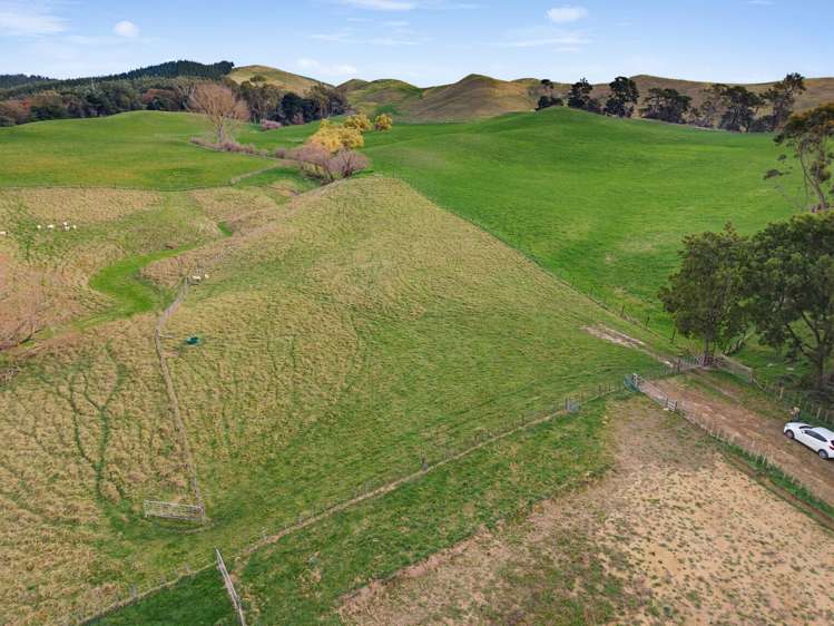 324 Homewood Road Waipawa_9