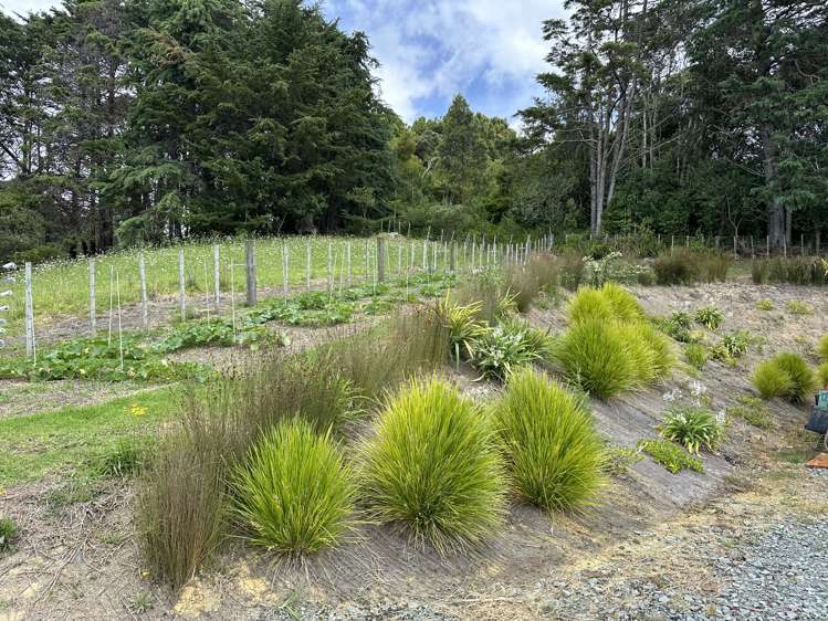 23 Enid Ave Kaitaia_17