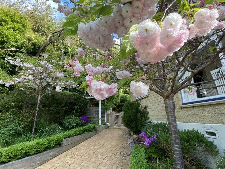 5 Kellsmere Crescent Island Bay_17