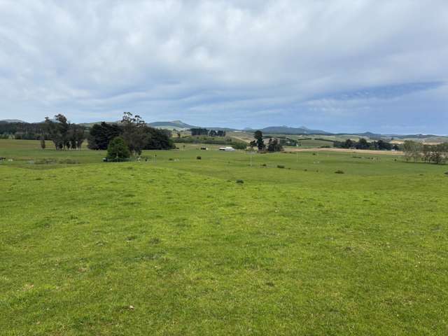 Blacks Road Palmerston_3