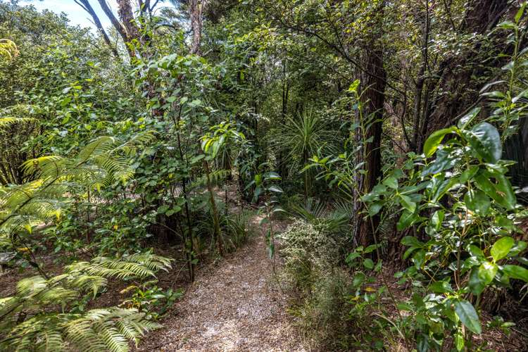 6 Taraire Street Ostend_25