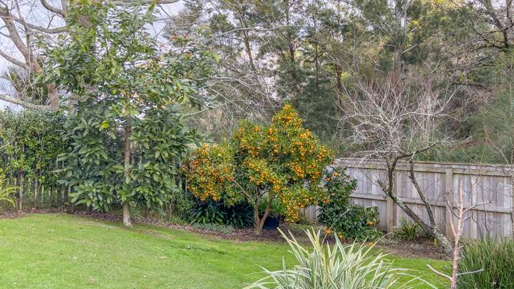 16 Kennedy Street Paeroa_15