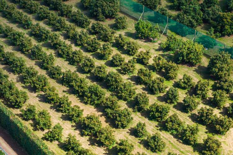 42 Ferry Road Waerenga-A-Hika_22