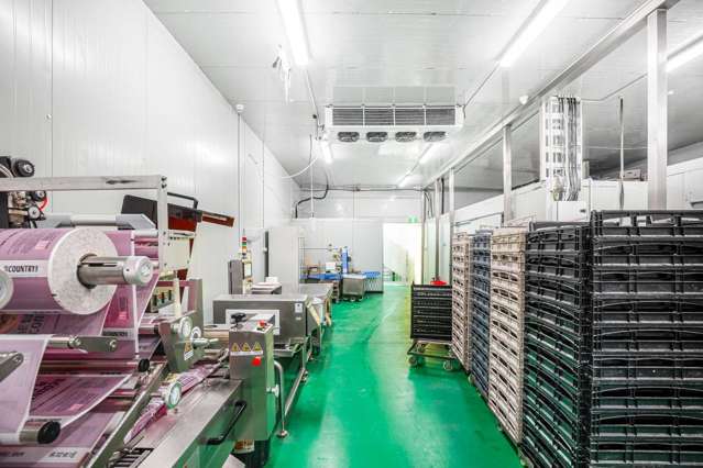 Unit 3/33-35 Waipareira Avenue Henderson_2