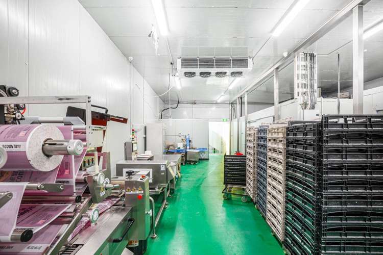 Unit 3/33-35 Waipareira Avenue Henderson_2