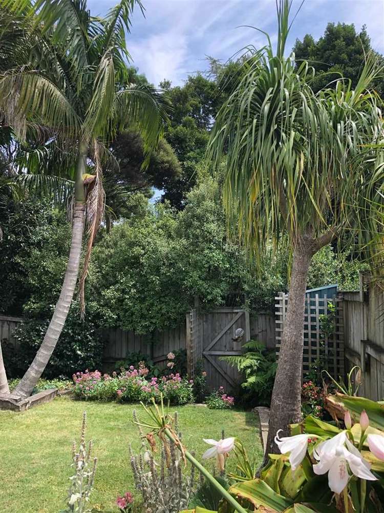 6a Tipene Place Meadowbank_12