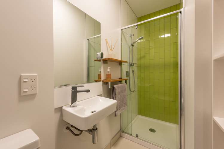 3b Anderson Terrace Mount Cook_13