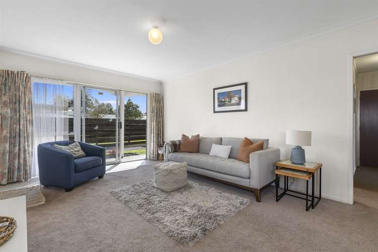 16c Burrows Street Tauranga South_1