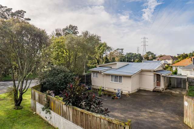 2a Nash Road Mount Roskill_1