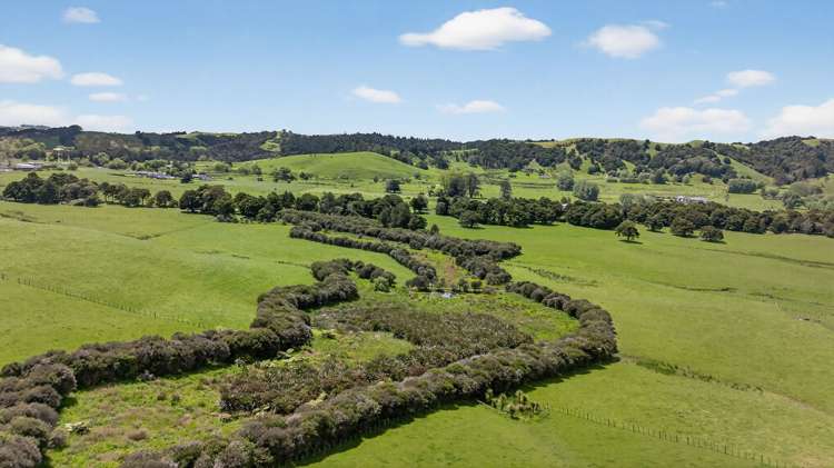 54 Edgerley Road Kaipara Flats_7