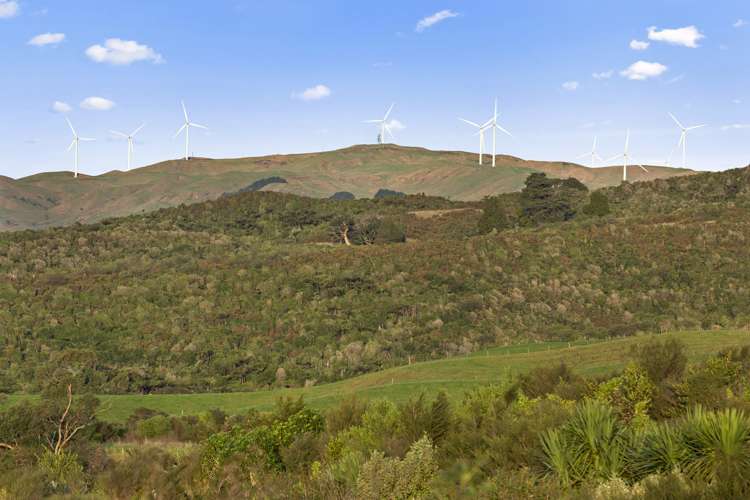 73b Maungatawhiri Road Raglan_17