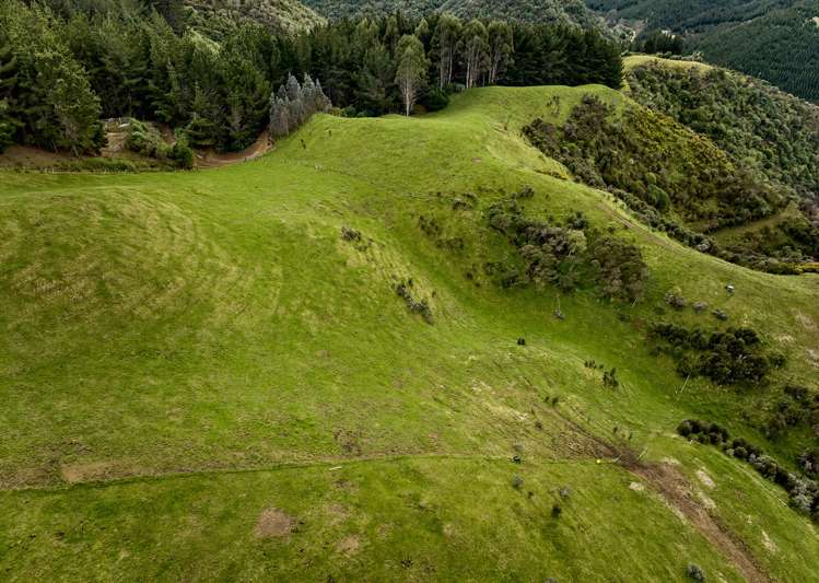 101b Bulls Run Road Moonshine Valley_25