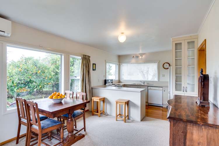 128 Avondale Road Greenmeadows_5