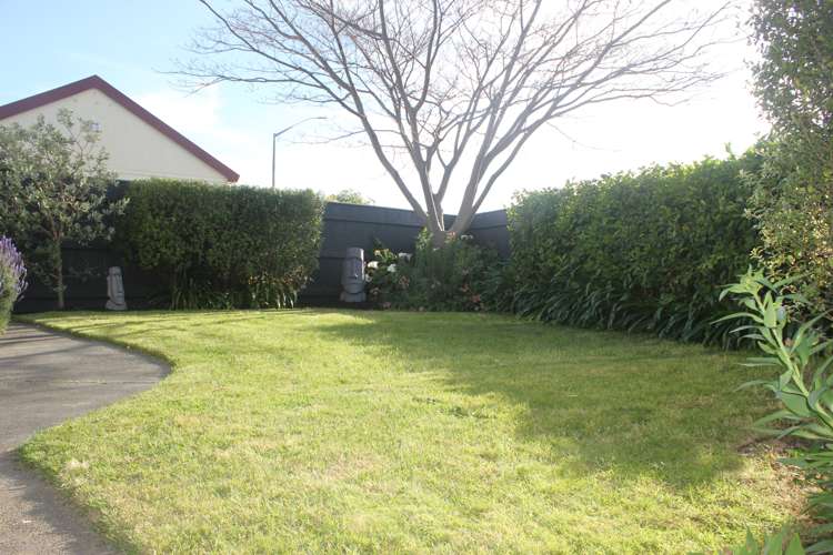 1/406 Gloucester Street Taradale_13