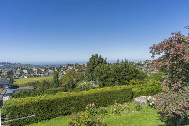 127 Lynn Street Wakari_14