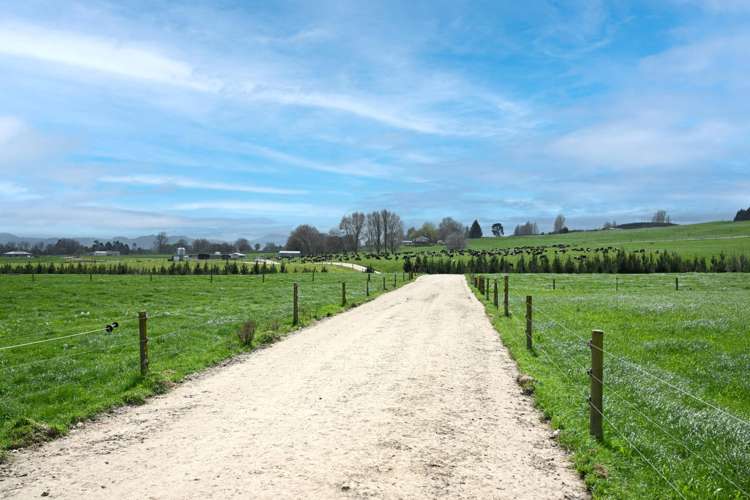 100 Rawhiti Road Reporoa_5