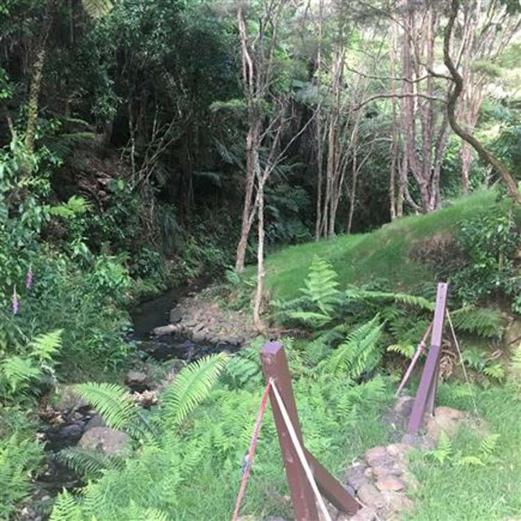 473 Kauaeranga Valley Road Thames_44