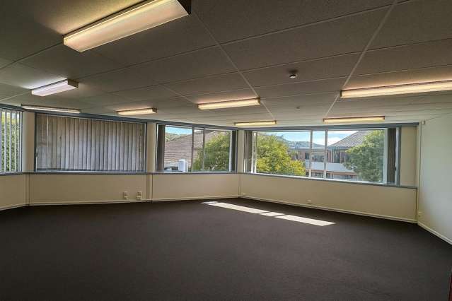 Unit 3/5 Britannia Street Petone_1