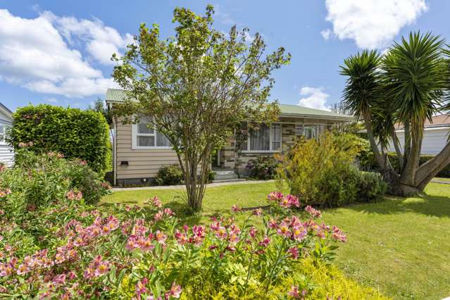 35 Rugby Street Levin_3