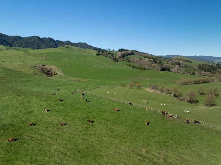 134 Old Te Aroha Road Te Poi_16