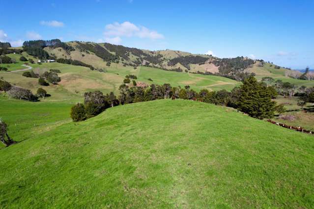 Whakahara Road Dargaville_4