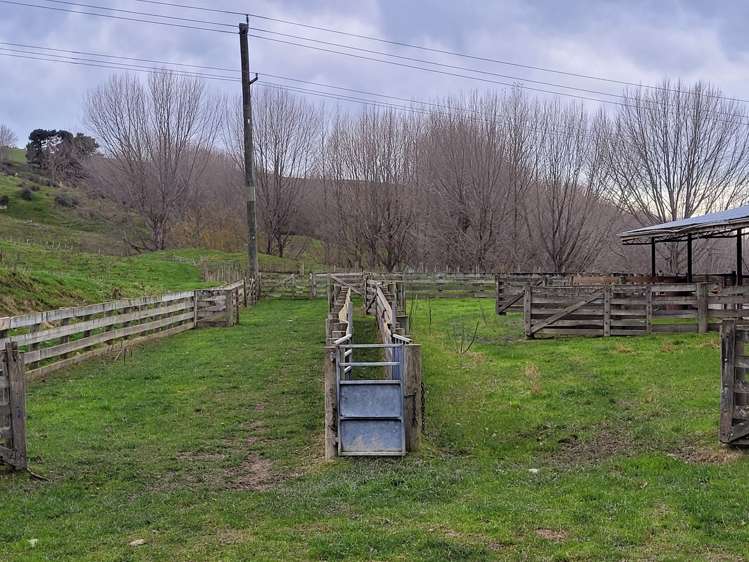 246 Tokarahi-Ngapara Road Five Forks and Surrounds_17