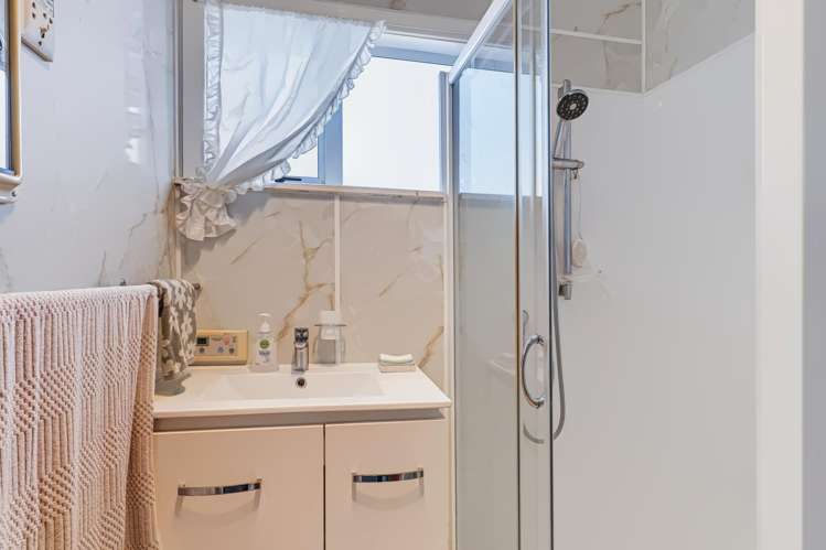 35 Essex Street Vogeltown_12