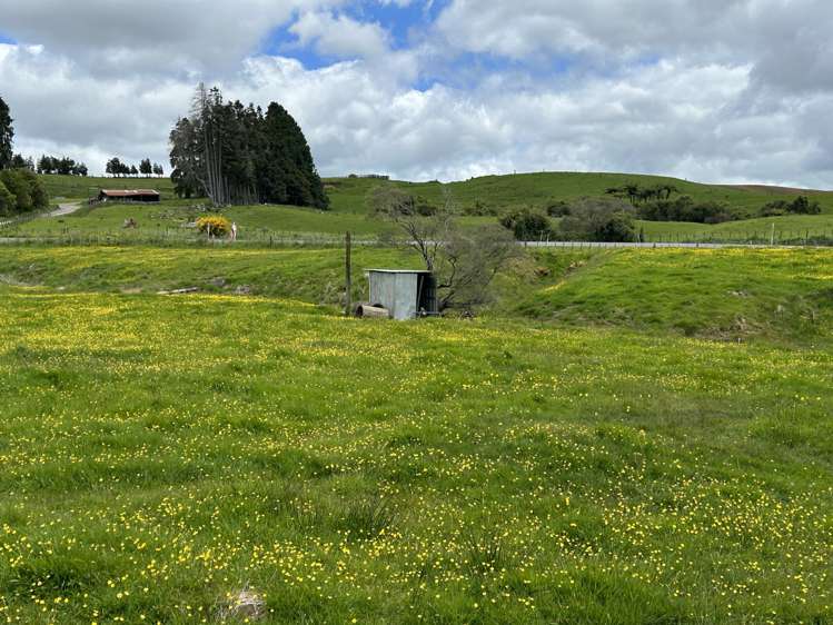 2868 SH 31, Kawhia Road Pirongia_18