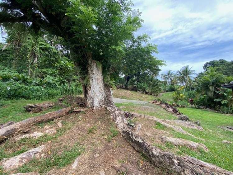 Lot 4 Vai Vai Loop, Woodward Drive, Naveria Heights, Savusavu, Savusavu_9