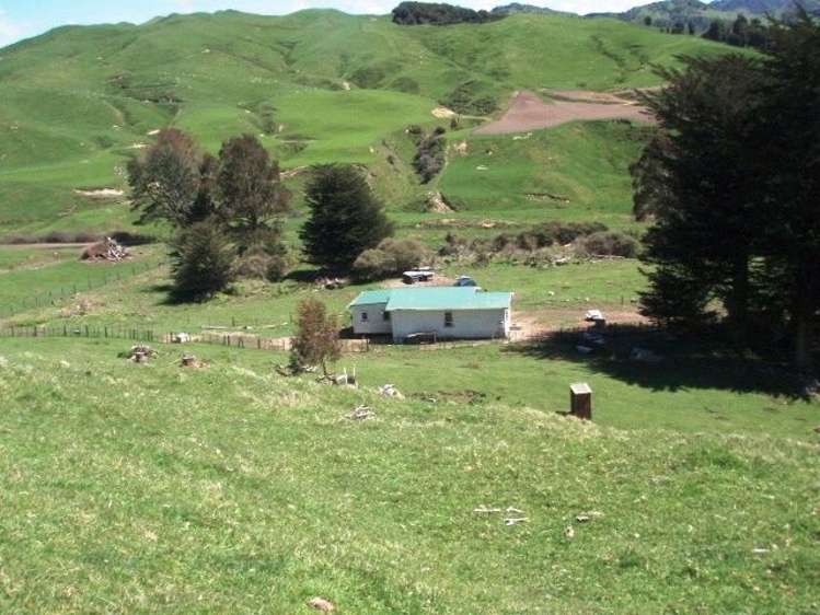 18 Kirk Street Matawai_24