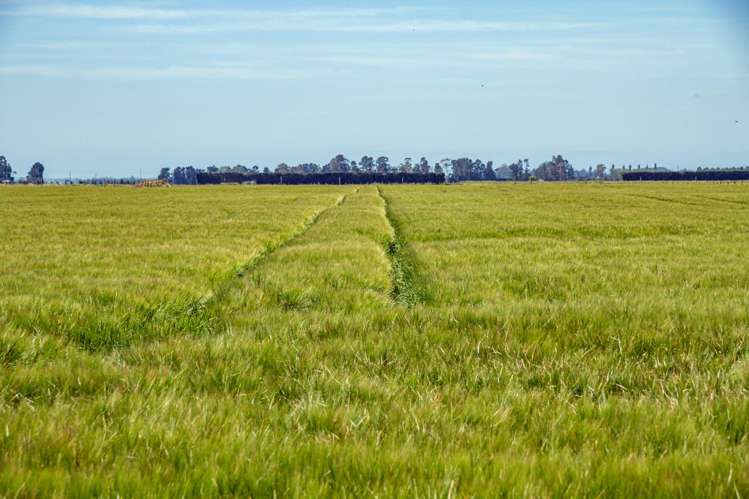 2247 Tinwald Westerfield Mayfield Road Ashburton_18