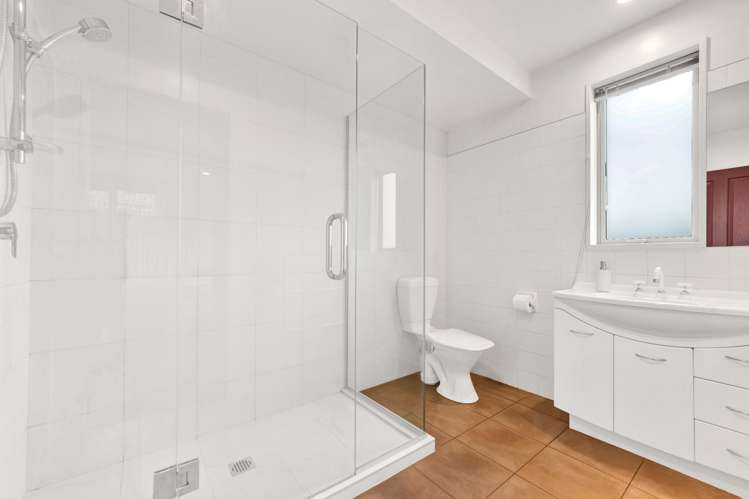 153 Edinburgh Street Spreydon_16