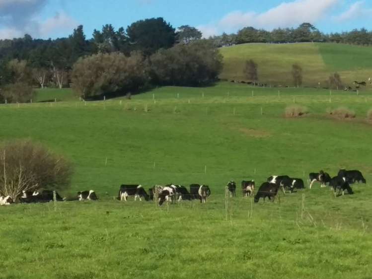 648 Scotsman Valley Road Tauwhare_0