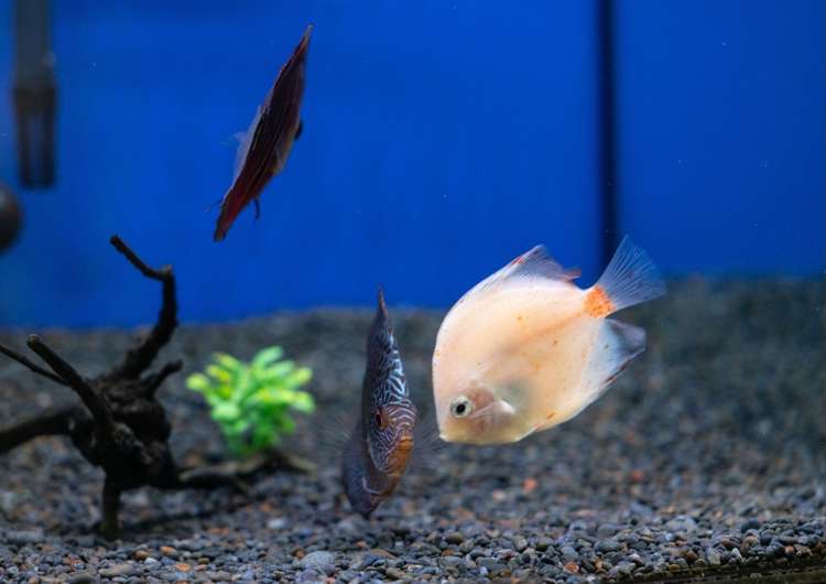 Address withheld Auckland_8