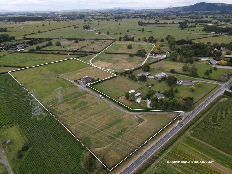 474 Bruntwood Road Tamahere_16