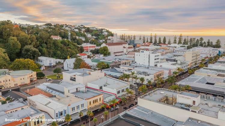 182 Emerson Street South Napier South_7