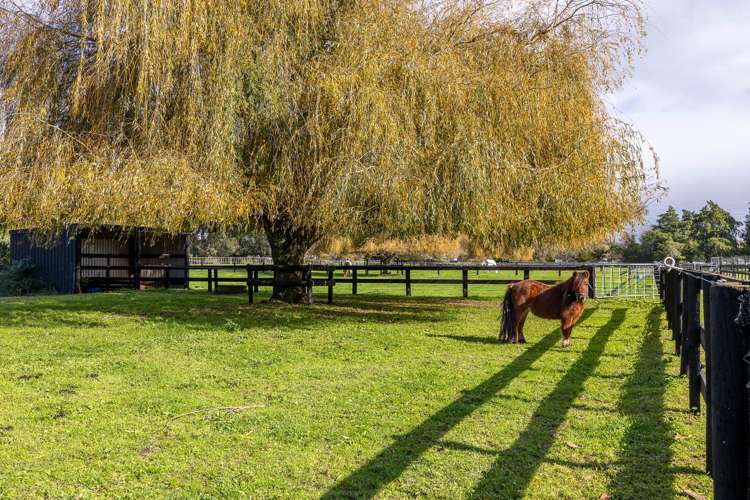 204 Racecourse Road Cambridge_31