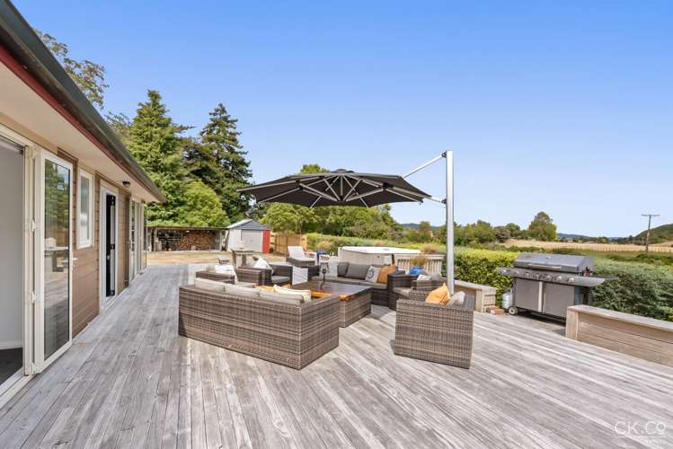 63 Black Beech Street Birchville_14