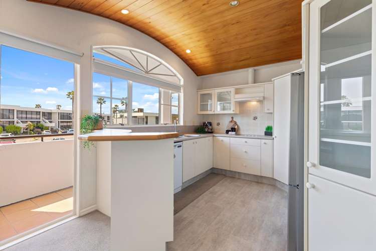 126 Muricata Avenue Mt Maunganui_6