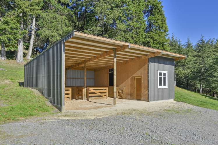 162 Kawera Road Central Hawkes Bay Coastal_22