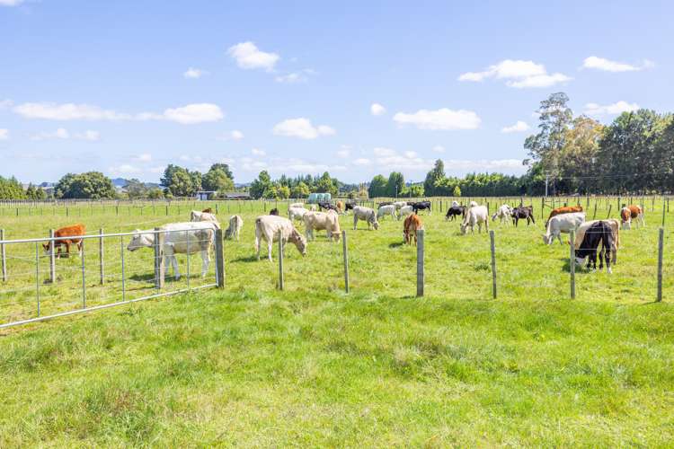 78 Higginson Road Ngahinapouri_34